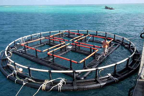 荆门深海养鱼网箱：保护海洋生态与满足食品需求的完美平衡